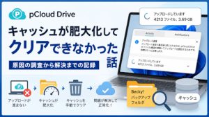 pCloud Driveのキャッシュが肥大化して、削除に苦労した話【Windows】